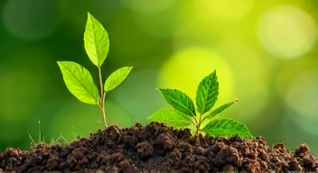 Nachhaltigkeit als Schlüssel zur Markenidentität (8/10)